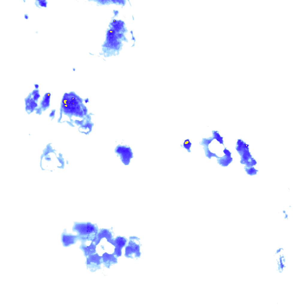 Image Layer