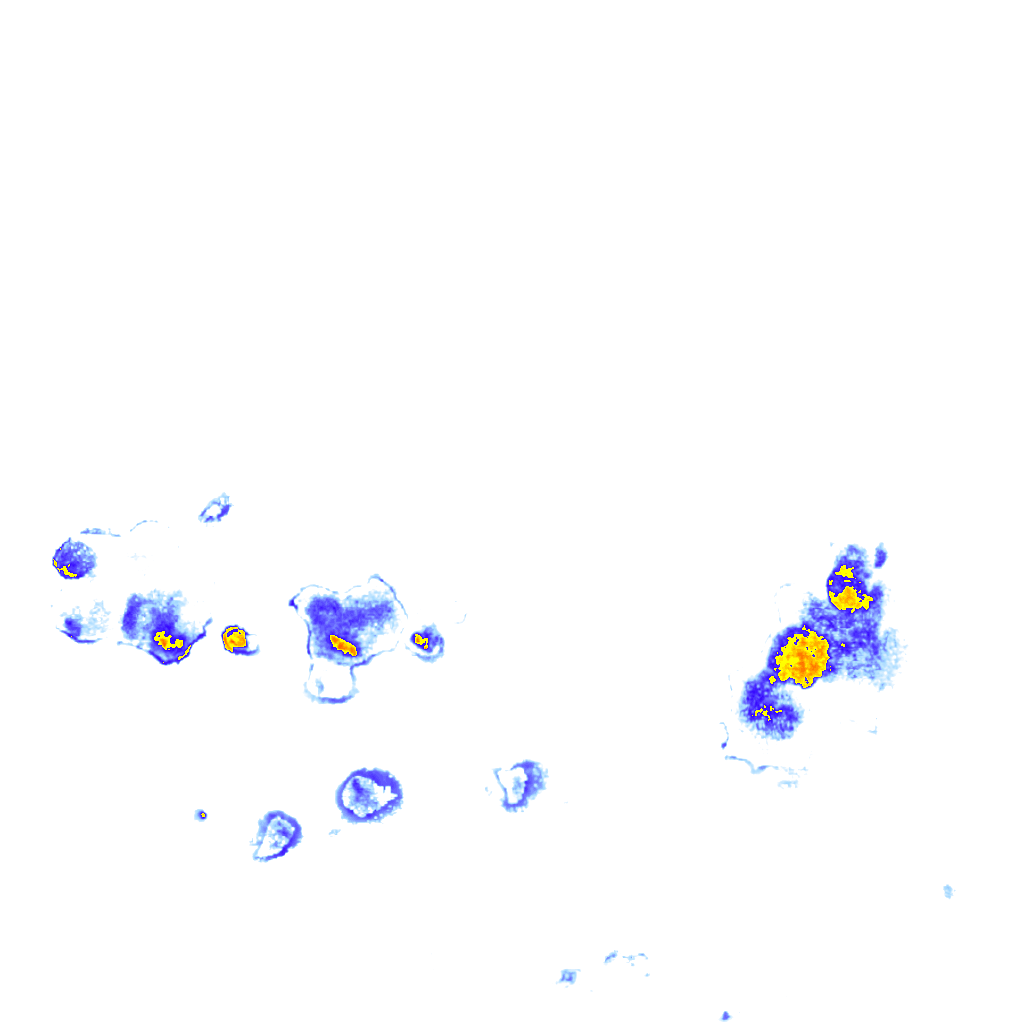 Image Layer