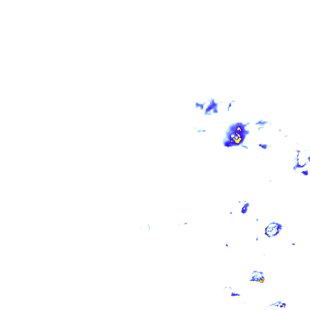 rainLayer