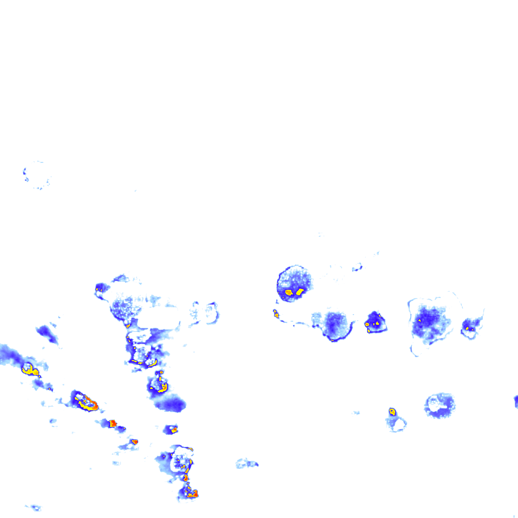Image Layer