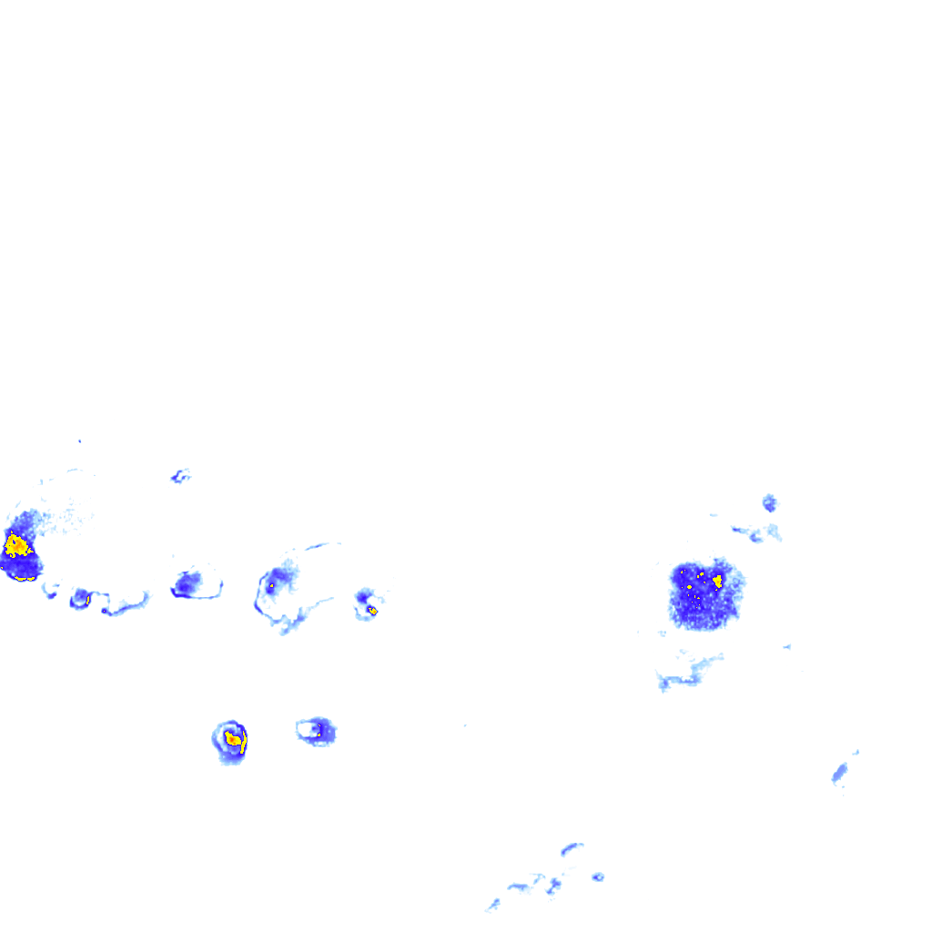 rainLayer