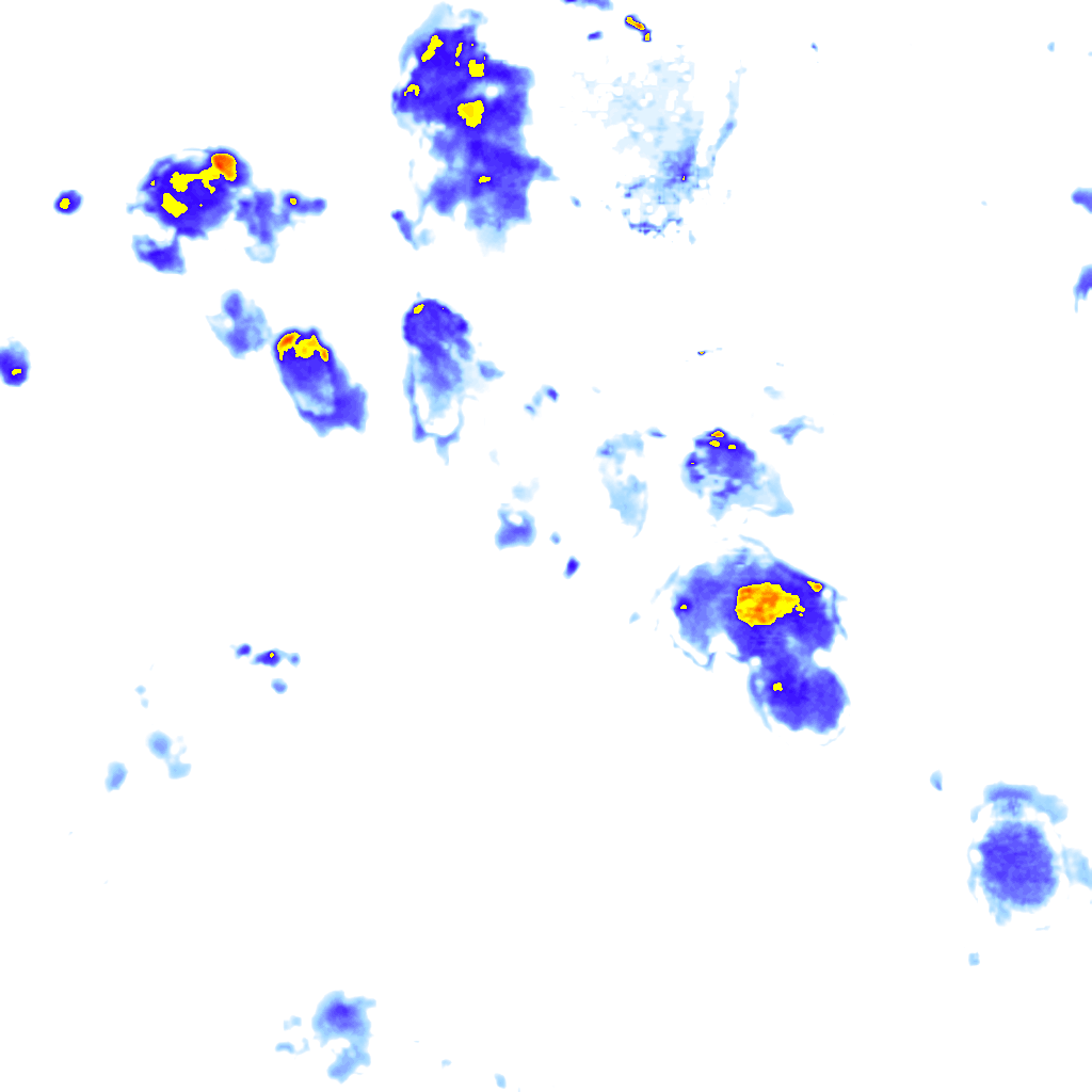 Image Layer