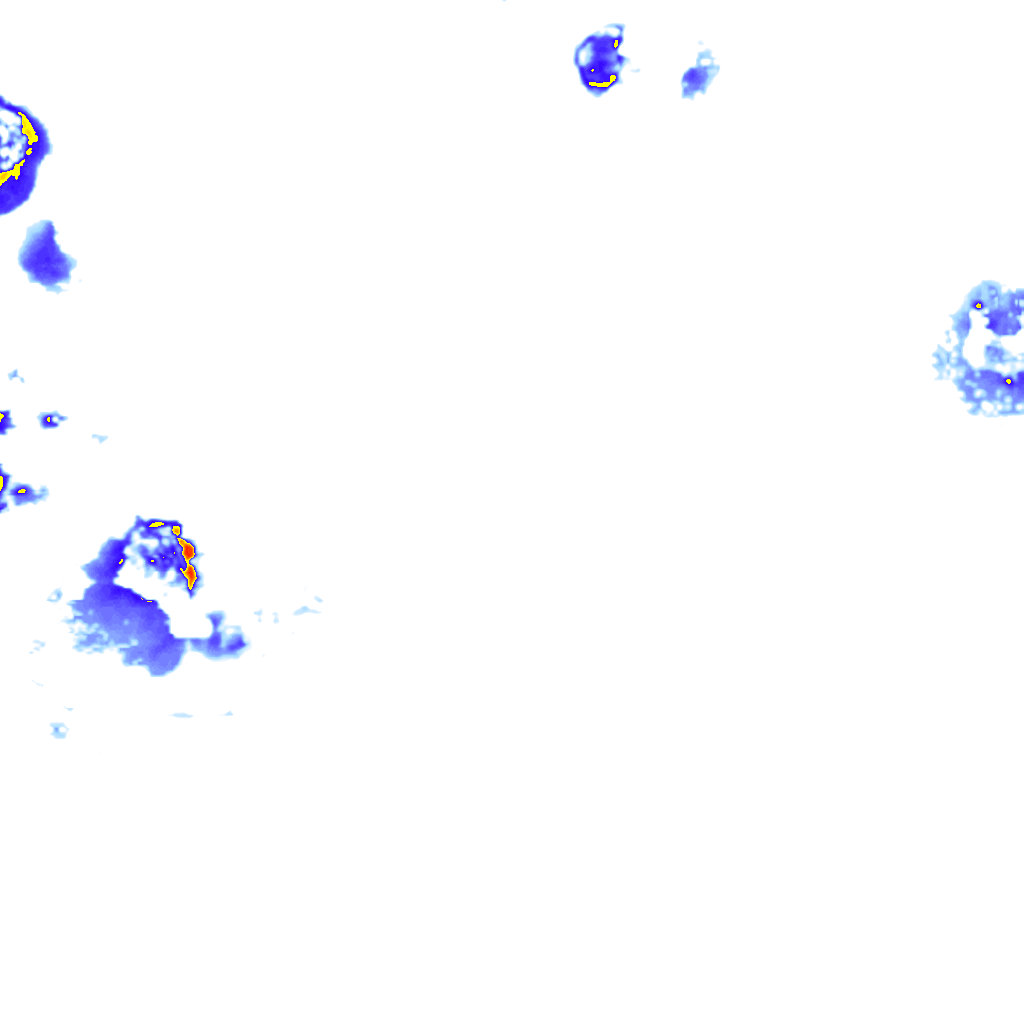 rainLayer