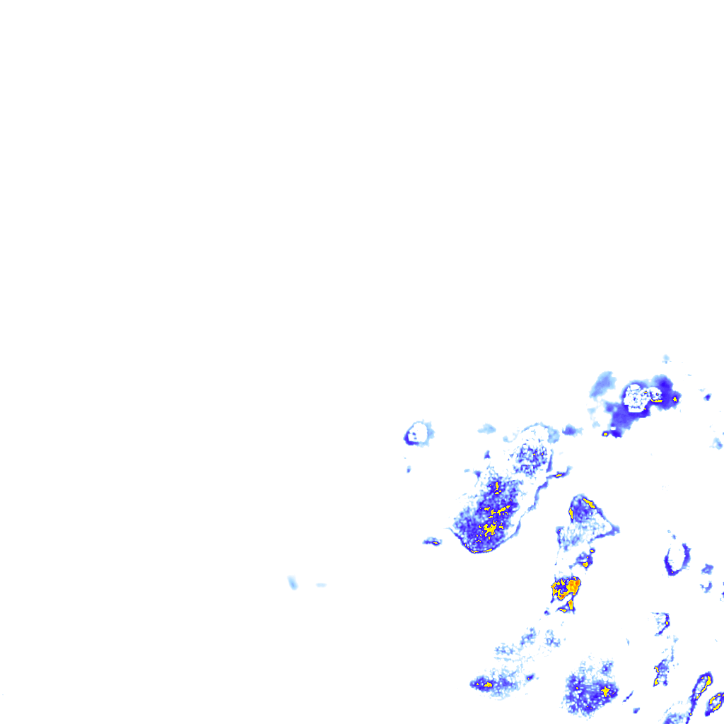 rainLayer