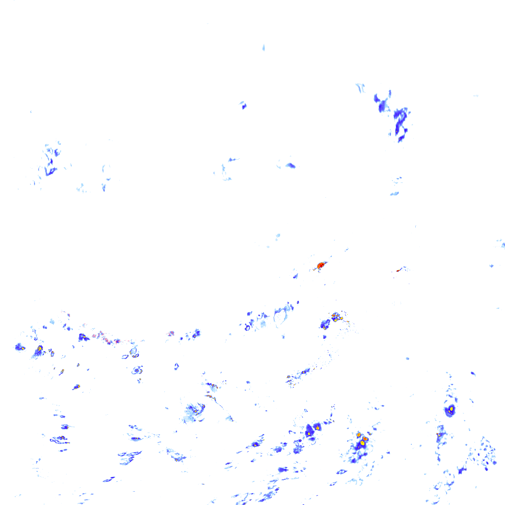 rainLayer