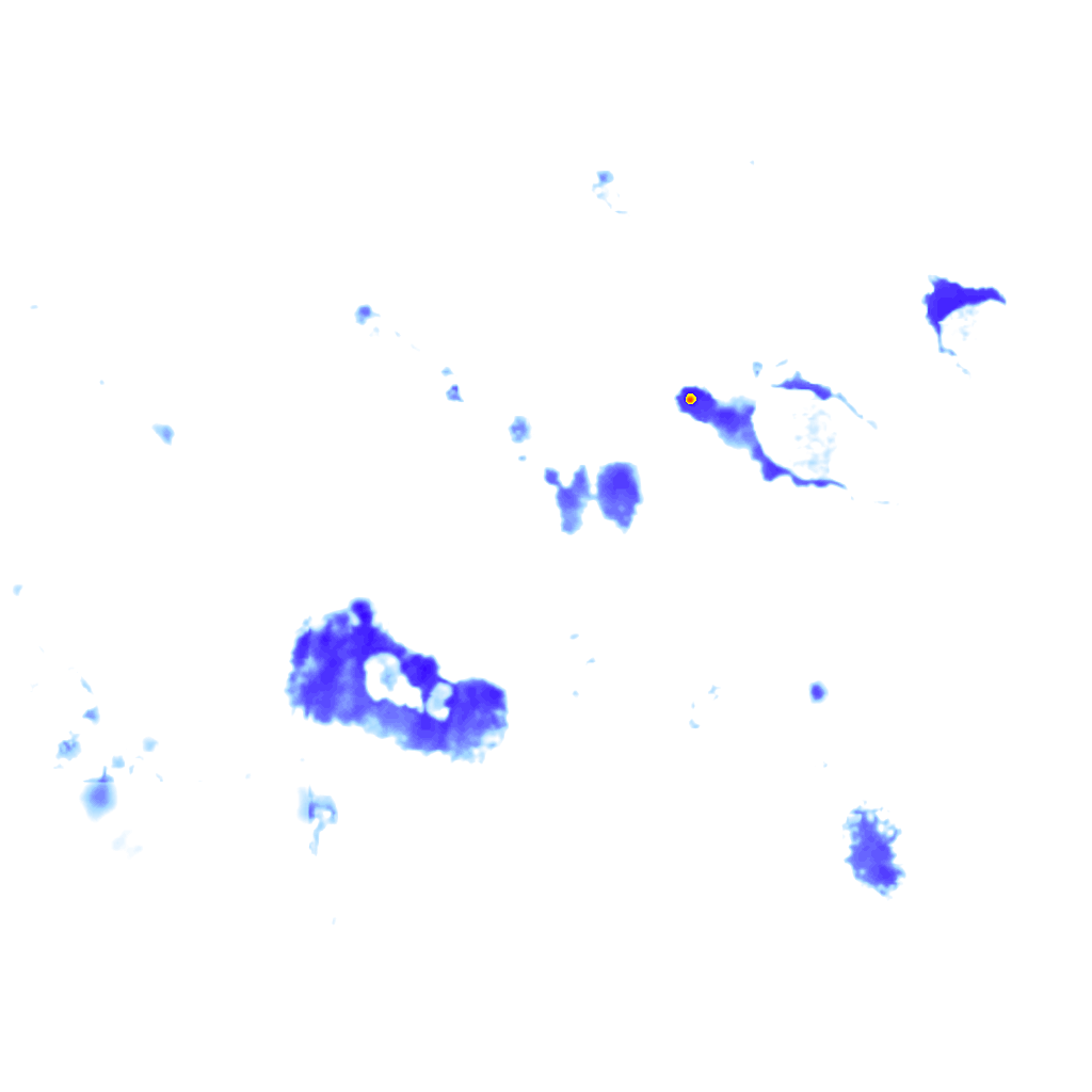 rainLayer