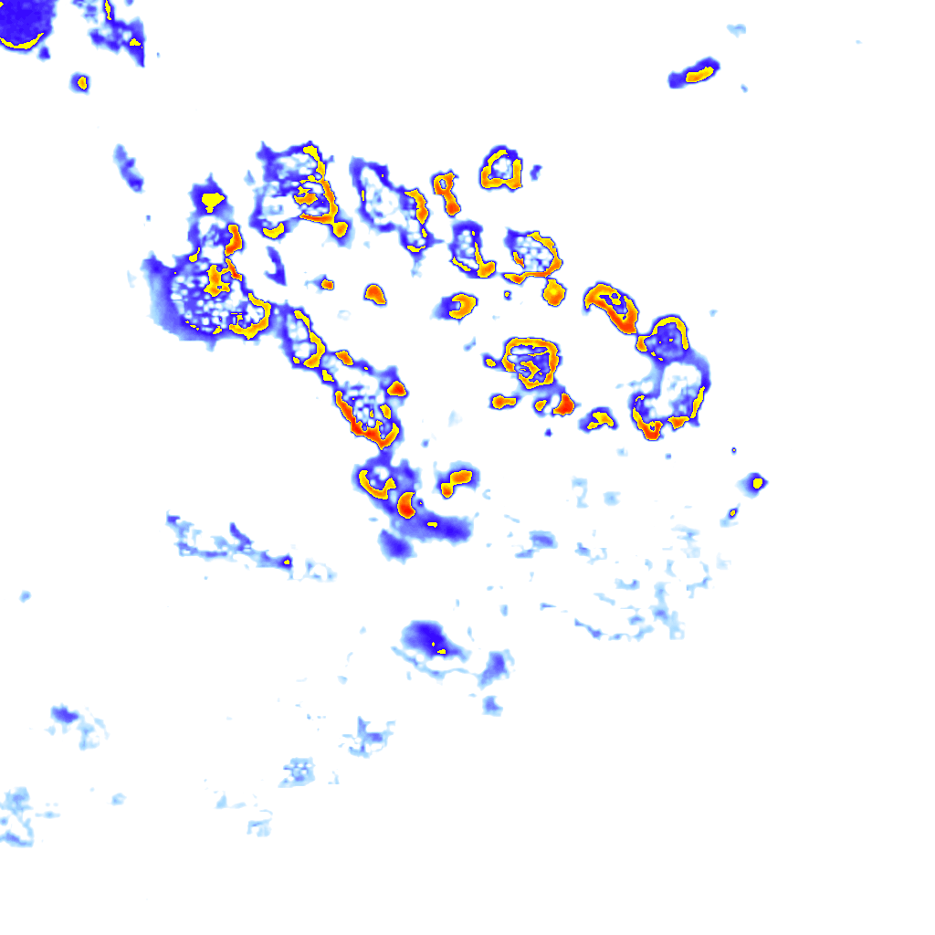 Image Layer