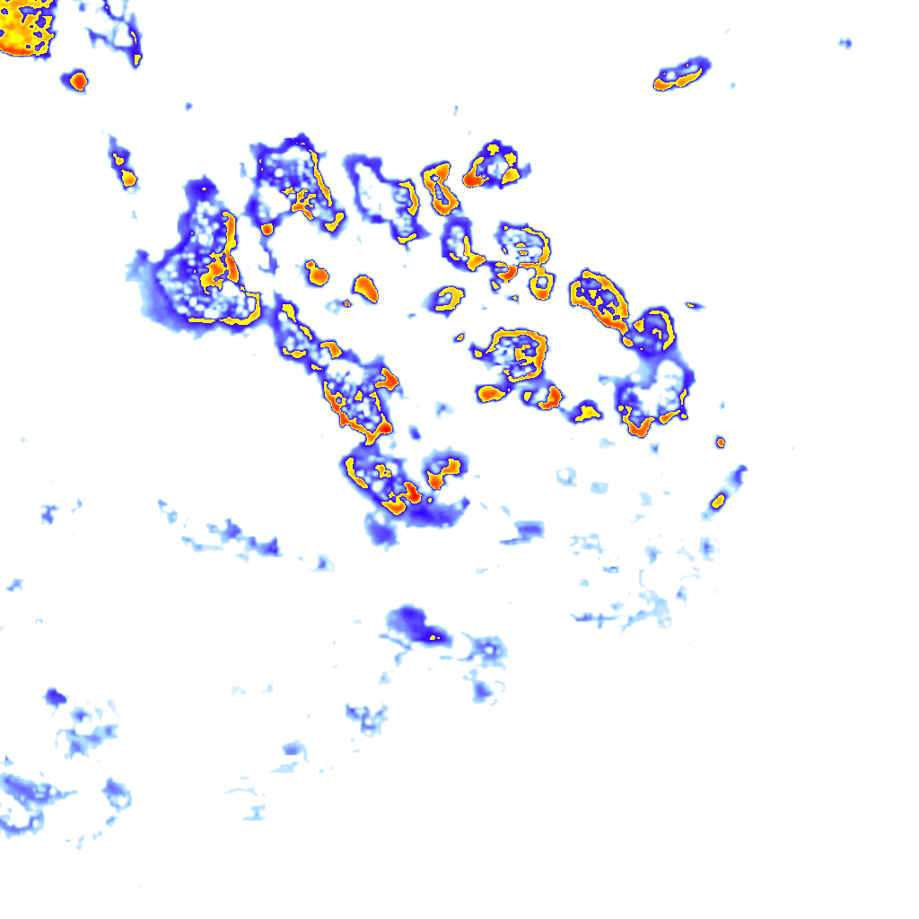 Image Layer