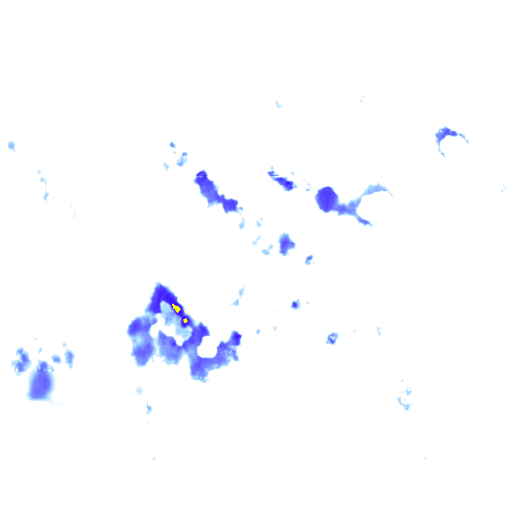 rainLayer