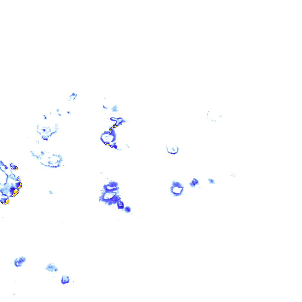 Image Layer