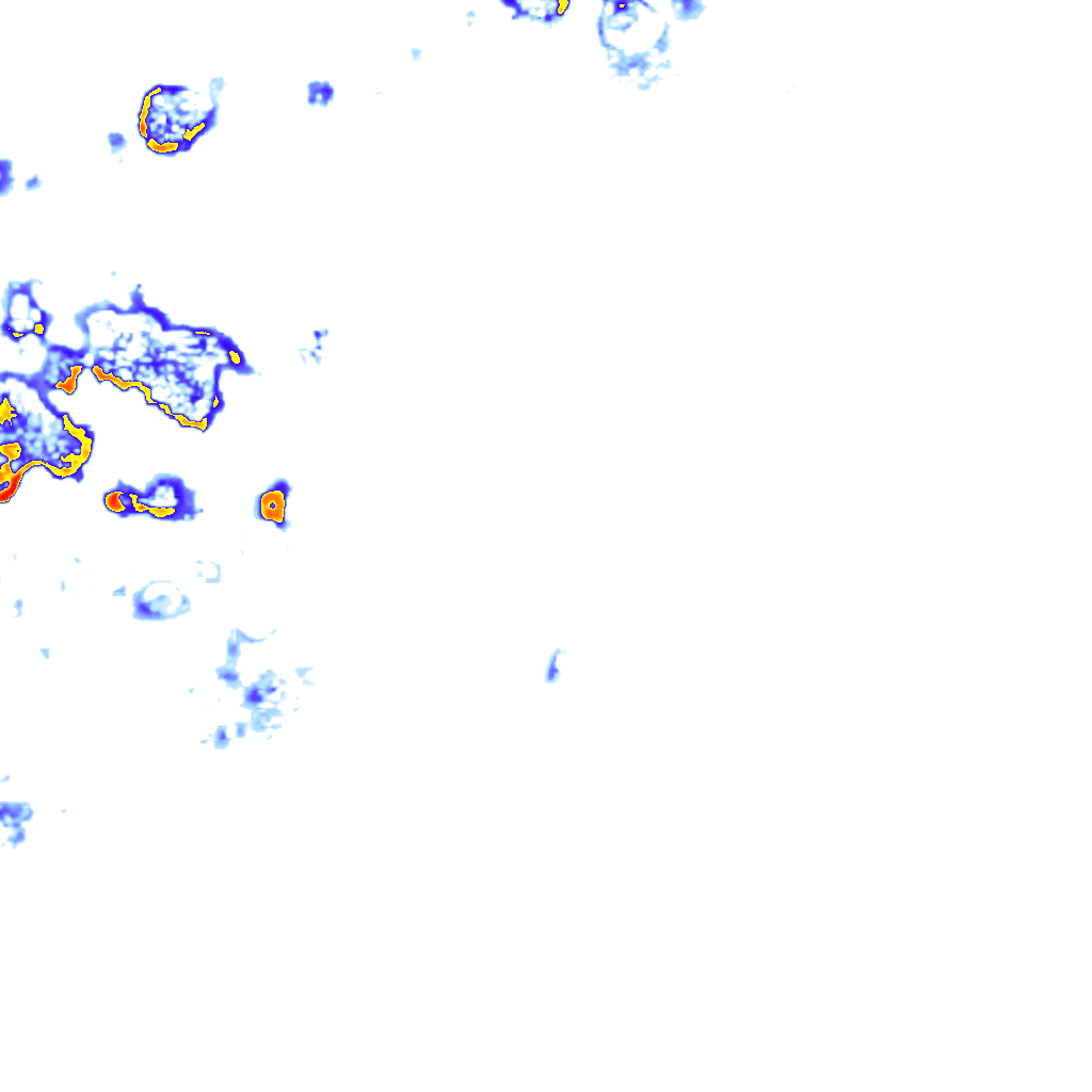 rainLayer