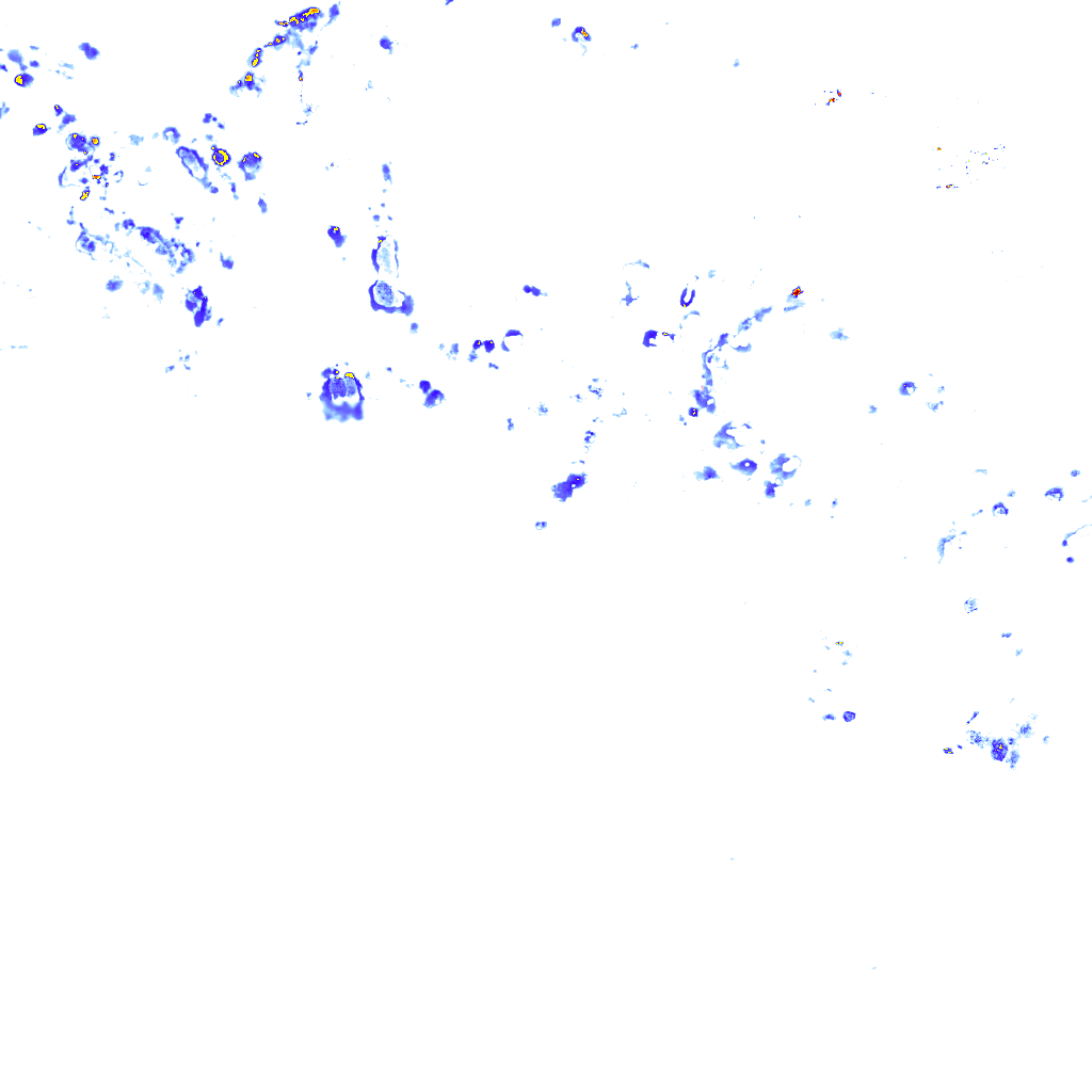 rainLayer