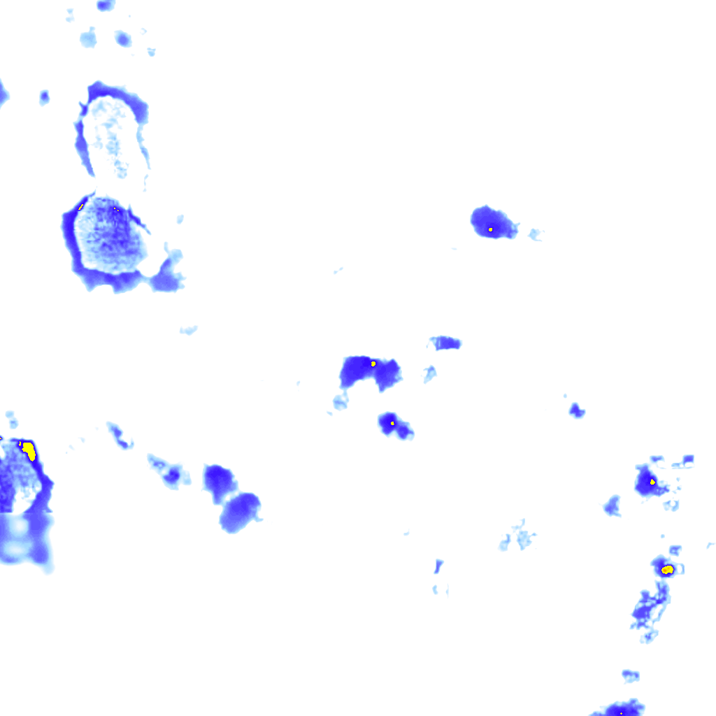 rainLayer