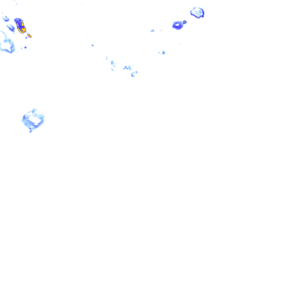 rainLayer