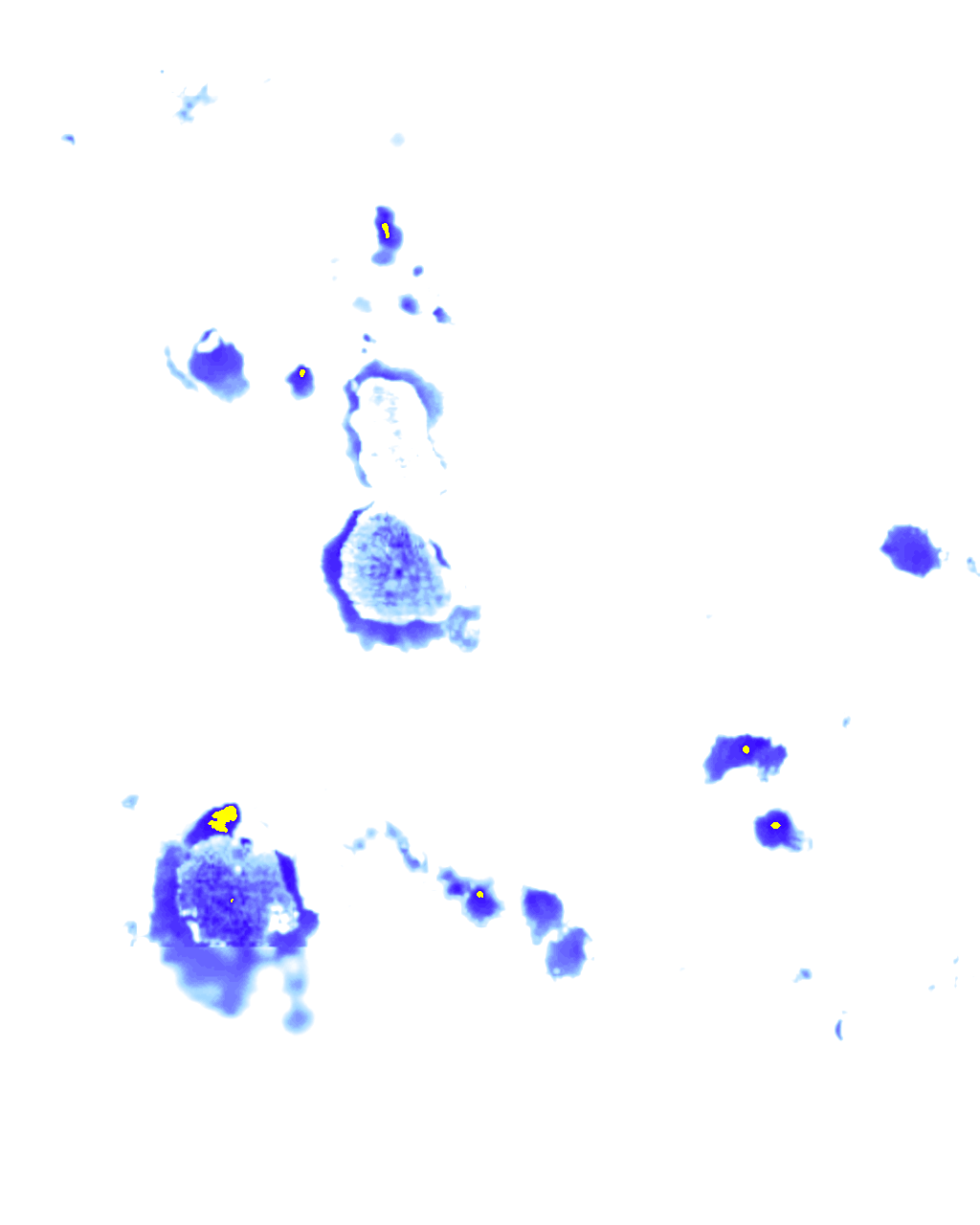 rainLayer