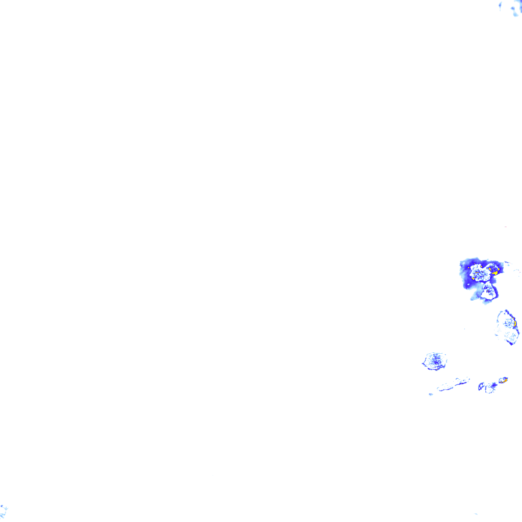 rainLayer