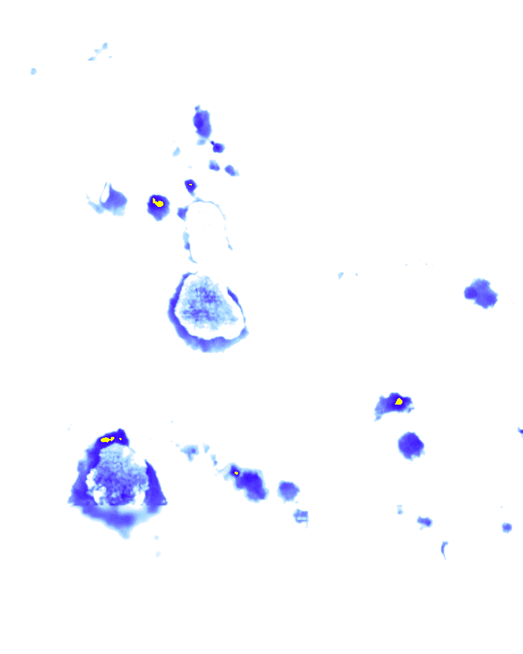 Image Layer