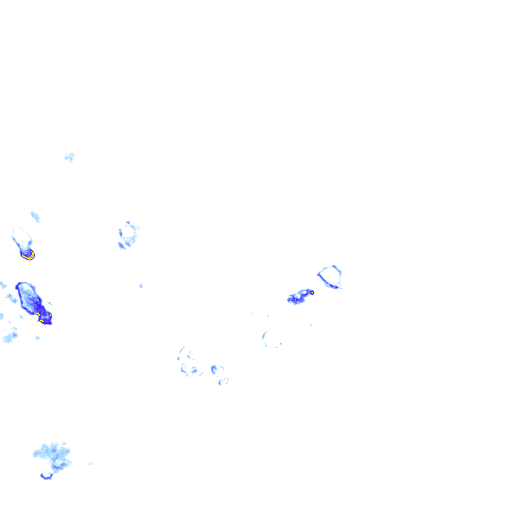 rainLayer