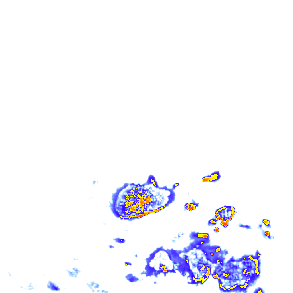 rainLayer