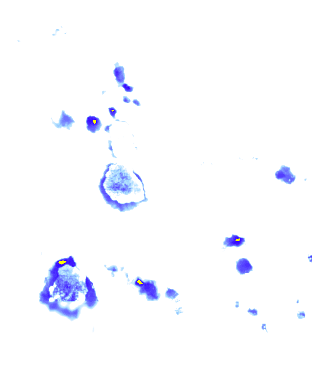 Image Layer