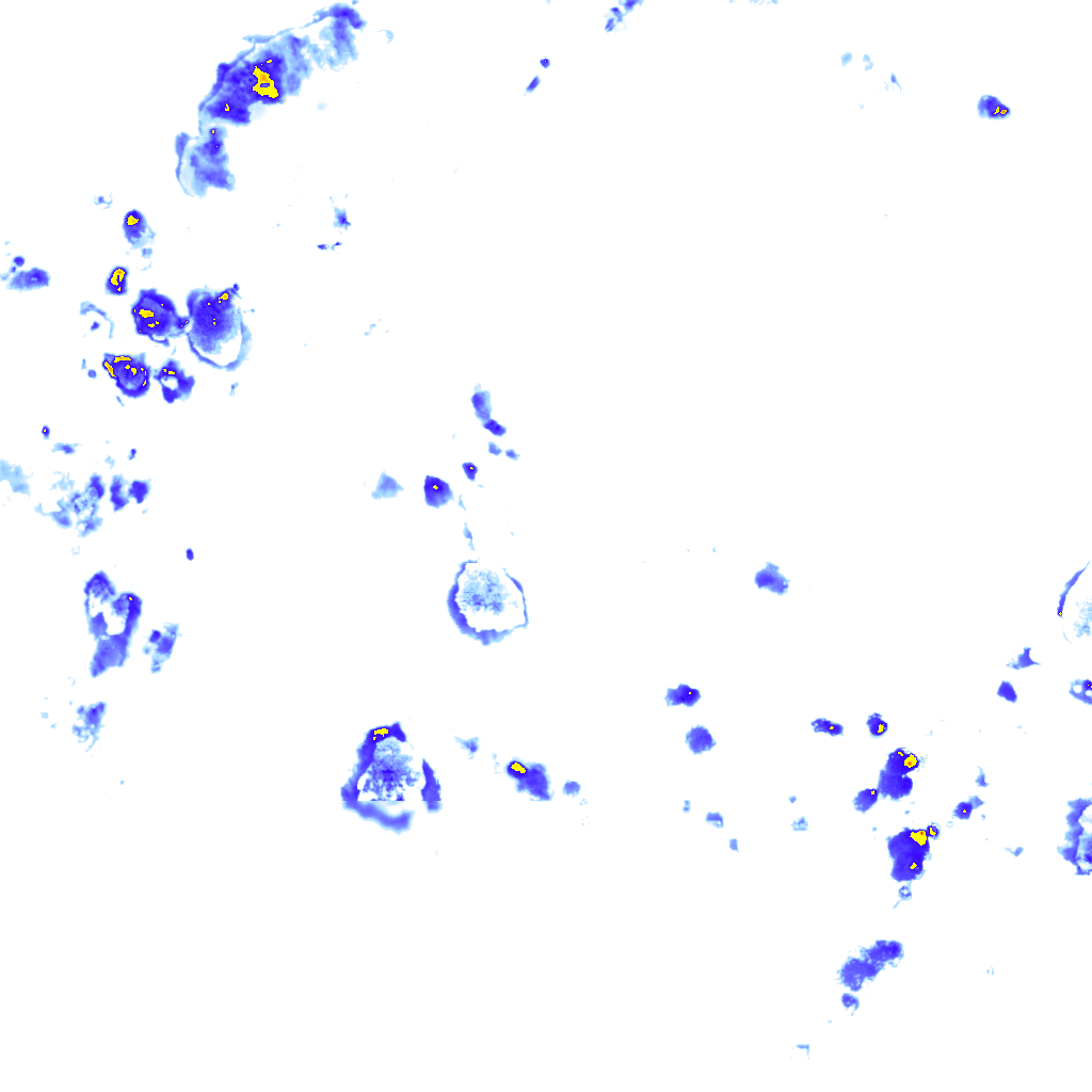 Image Layer
