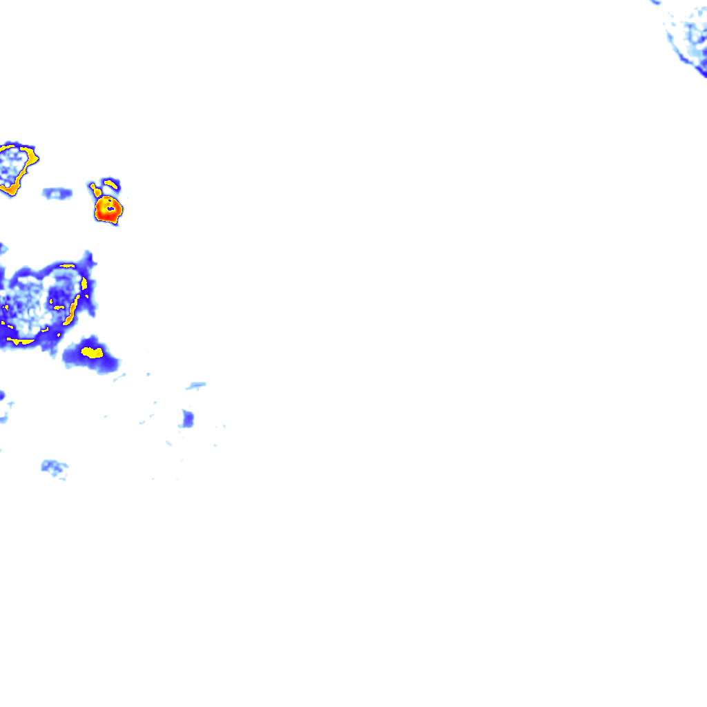 rainLayer