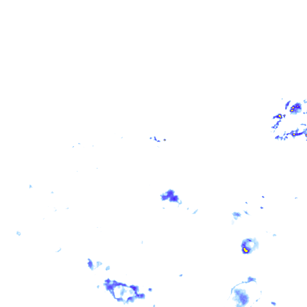 rainLayer