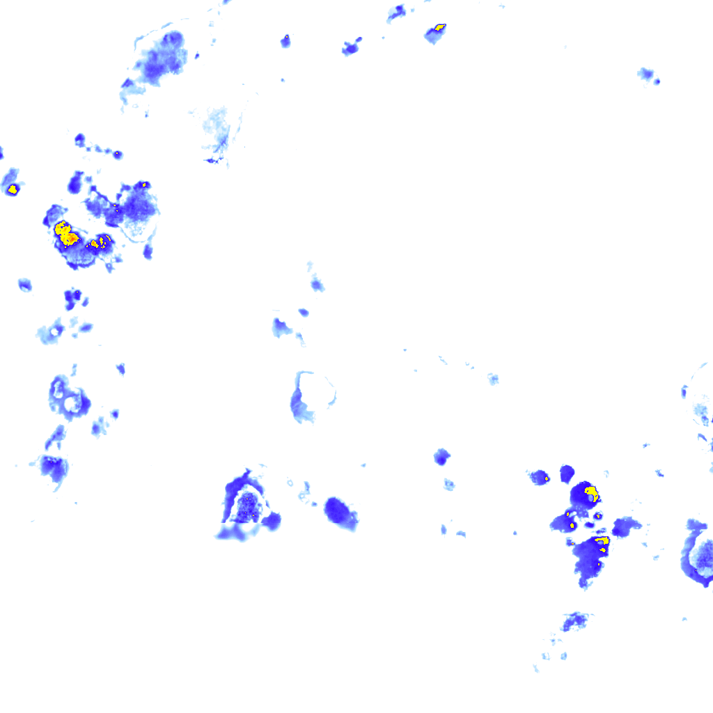 rainLayer