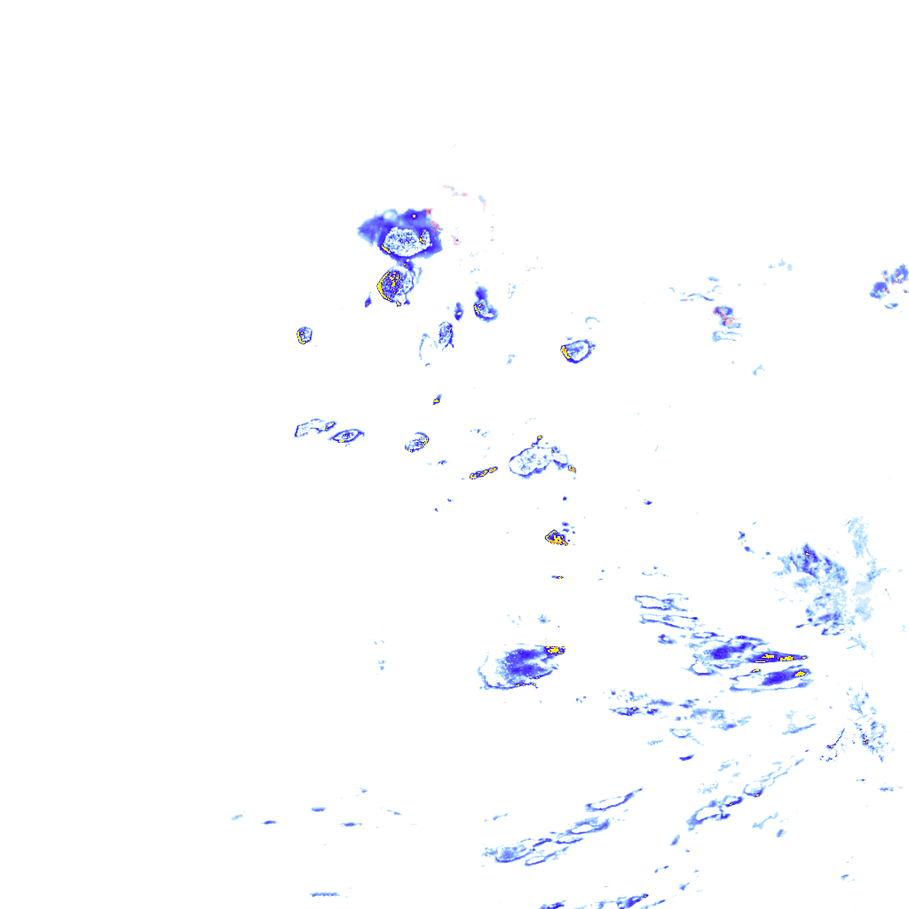 rainLayer