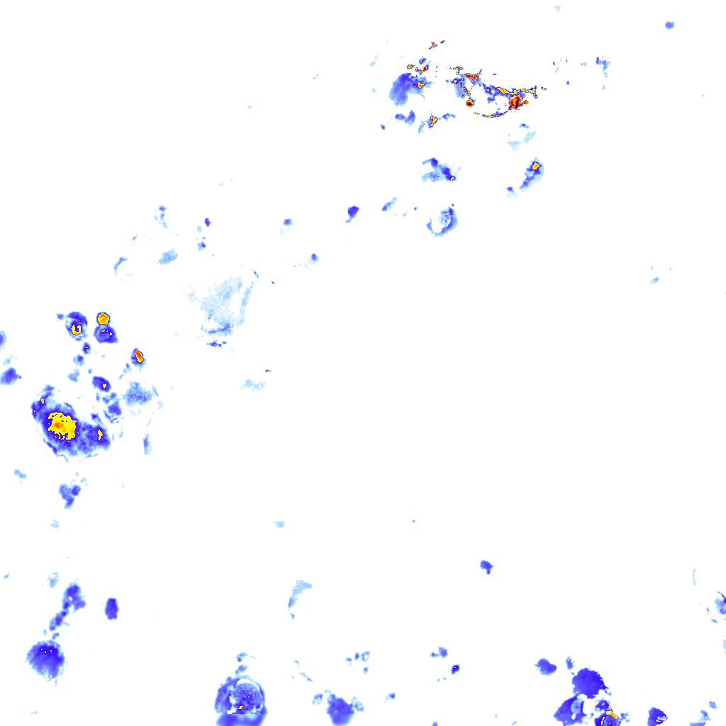 rainLayer
