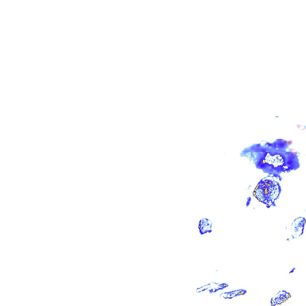 rainLayer