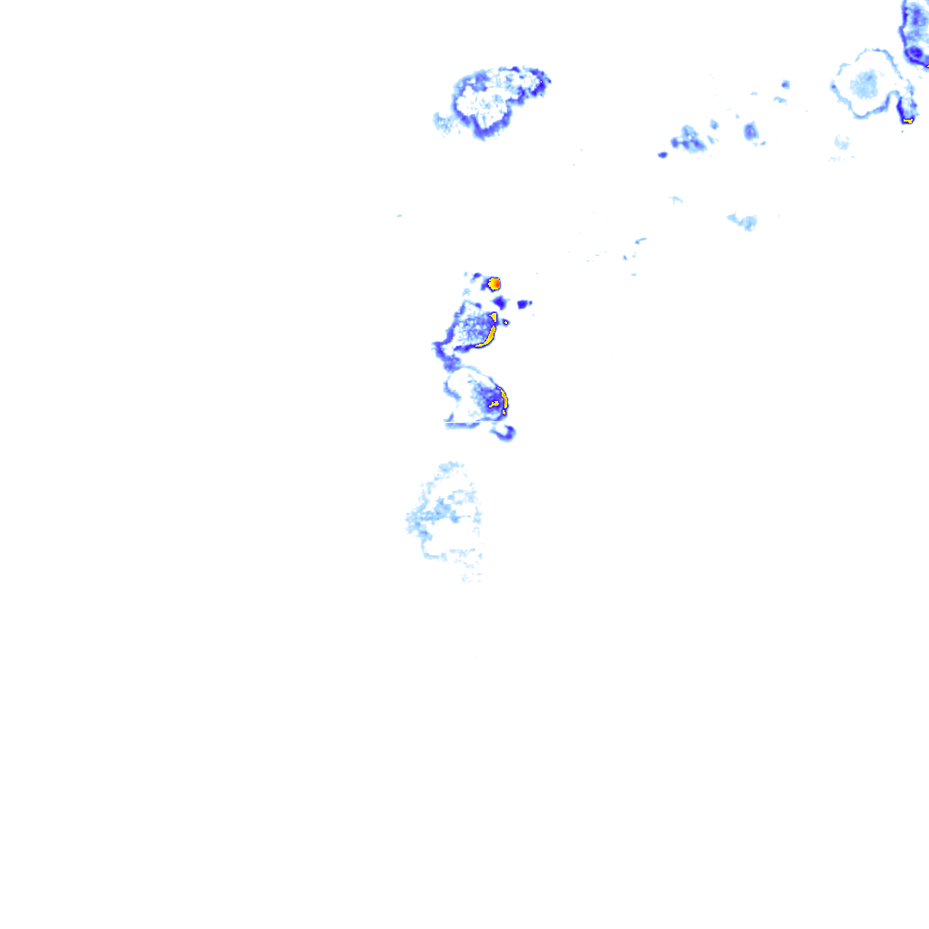rainLayer