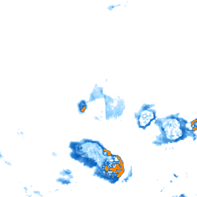 rain layer