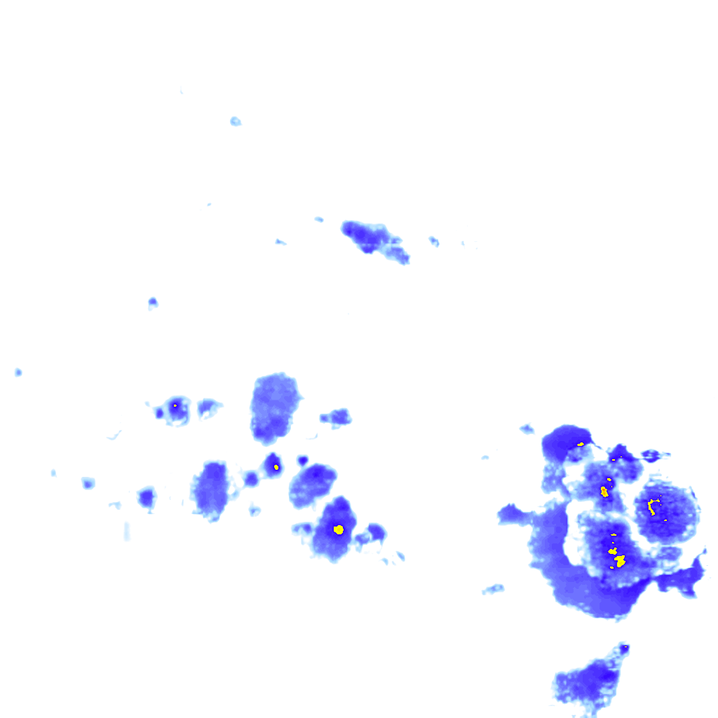 rainLayer