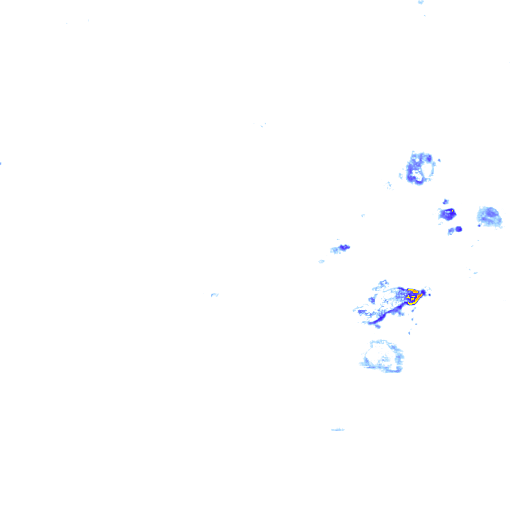 Image Layer