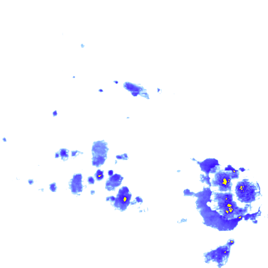 rainLayer