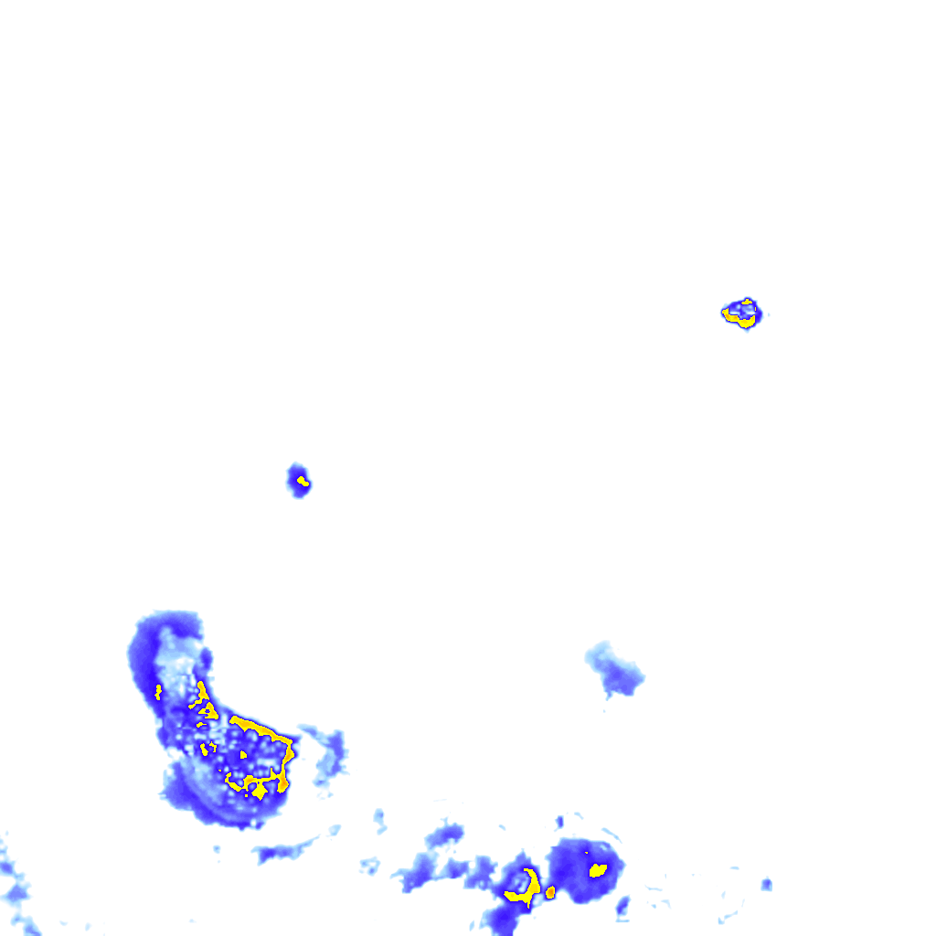 rainLayer