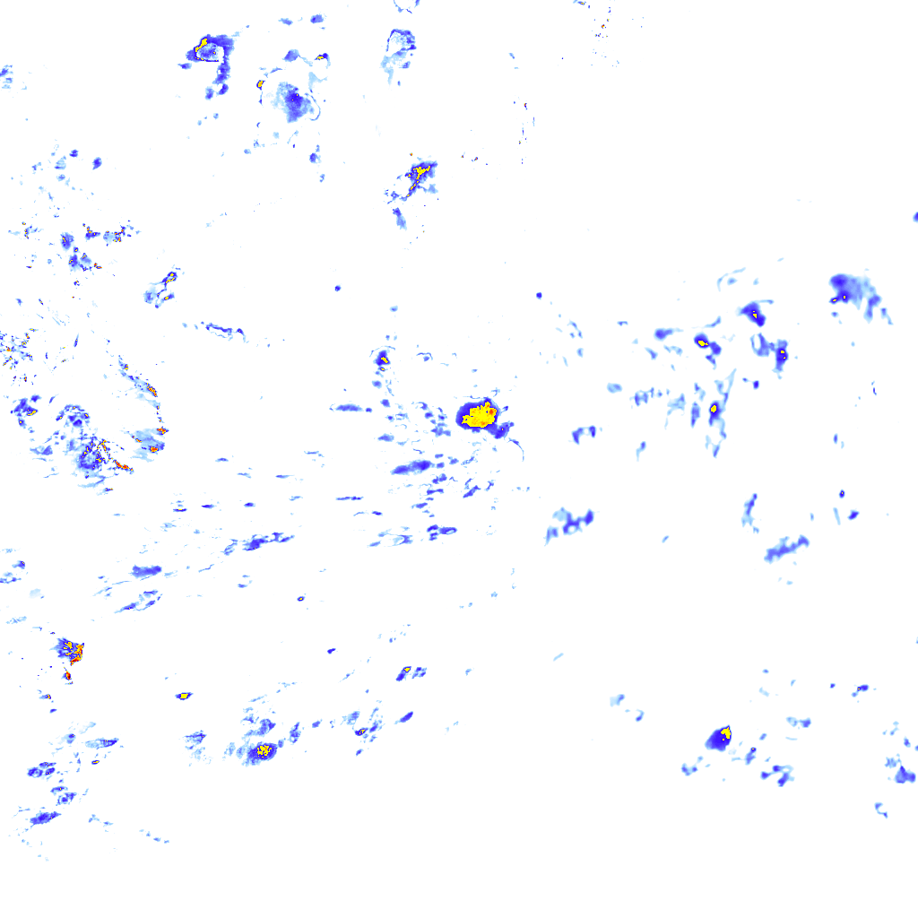 rainLayer