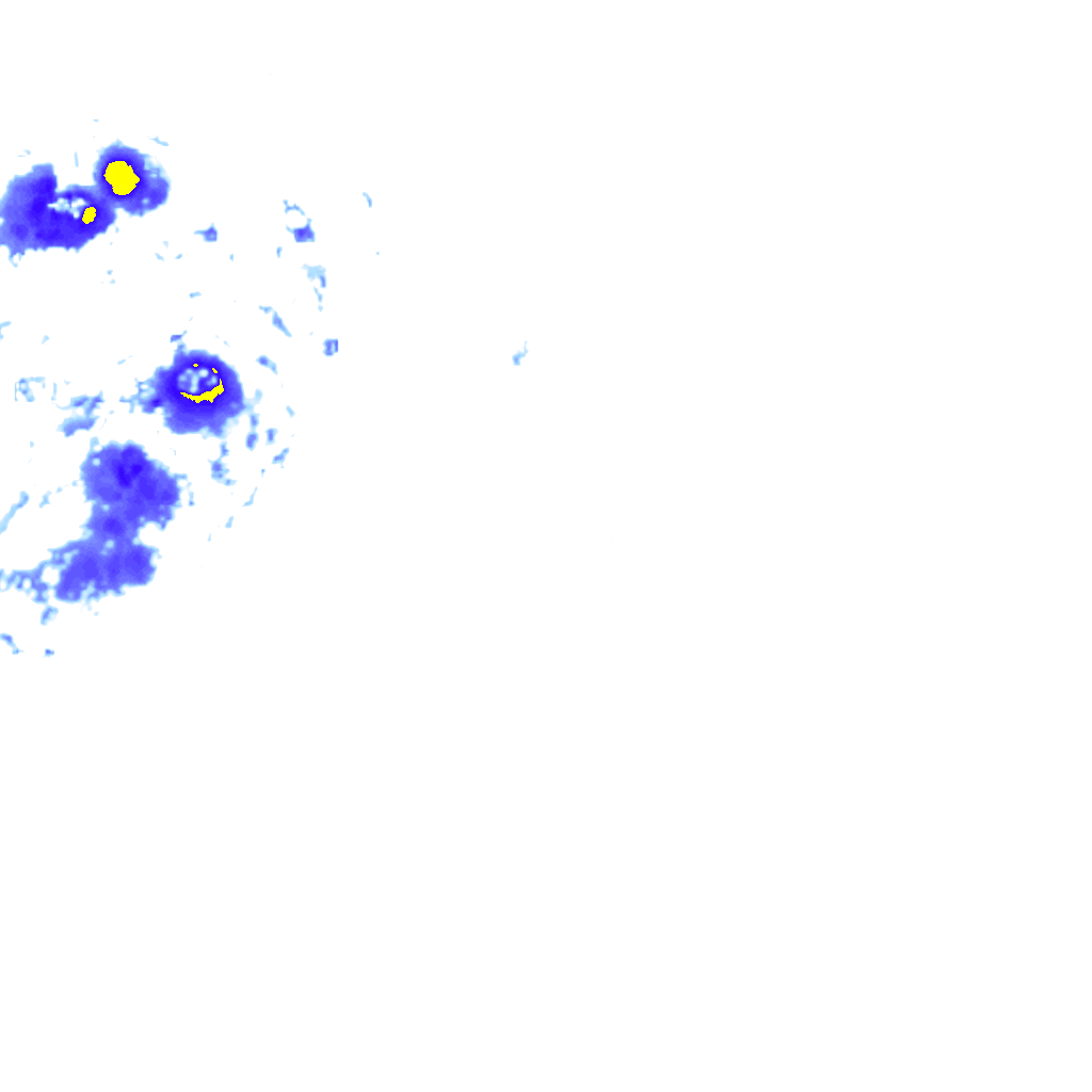 rainLayer