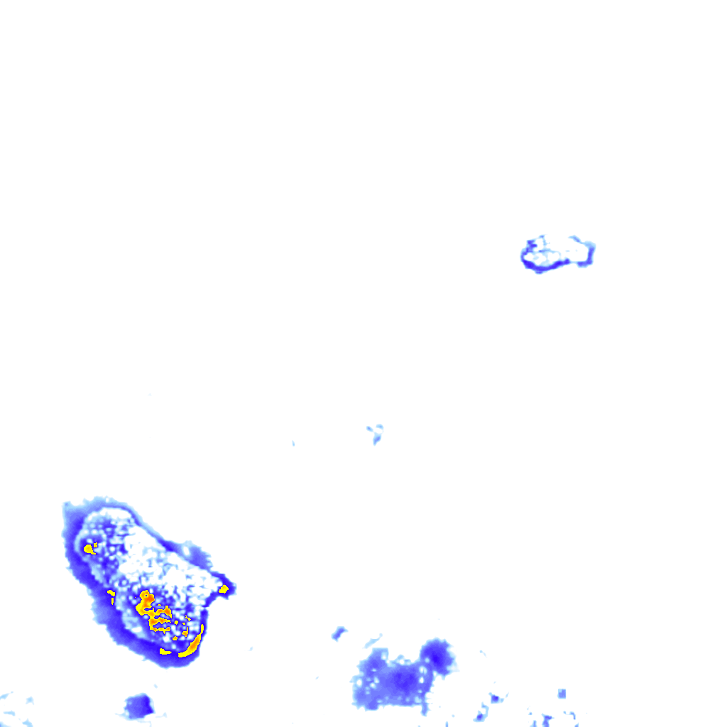 rainLayer