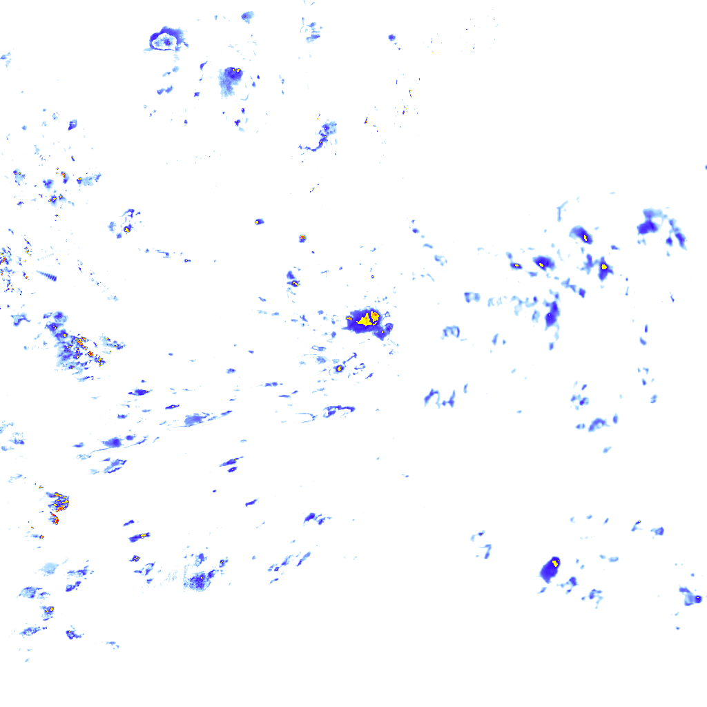rainLayer