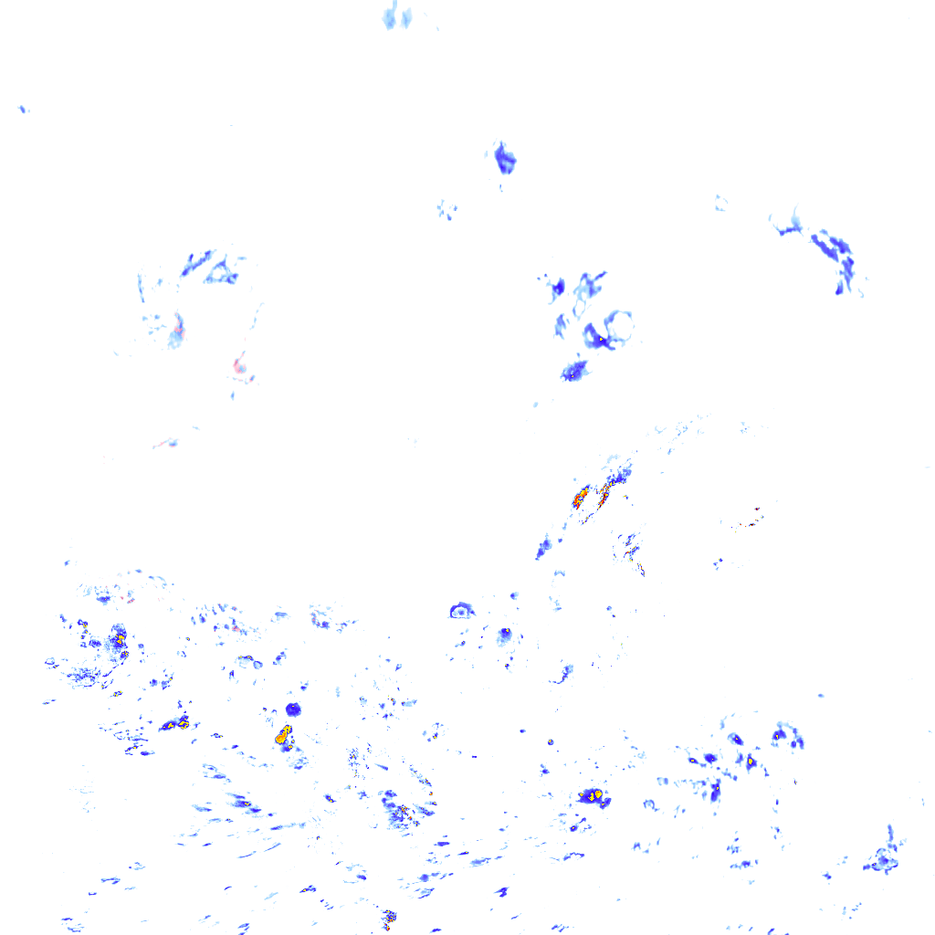rainLayer