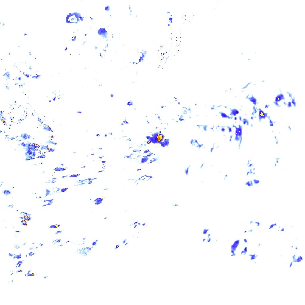 rainLayer