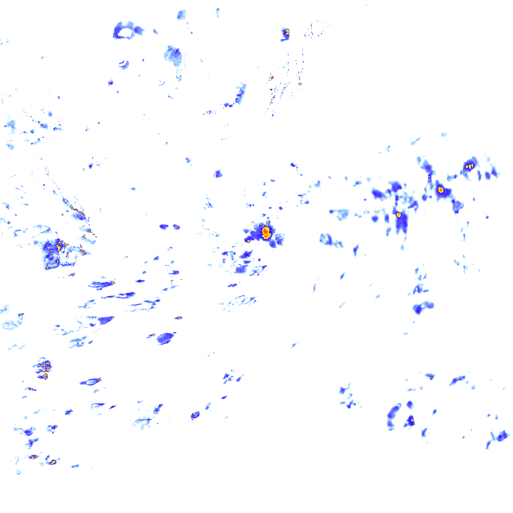 Image Layer