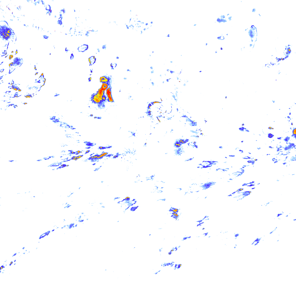 rainLayer