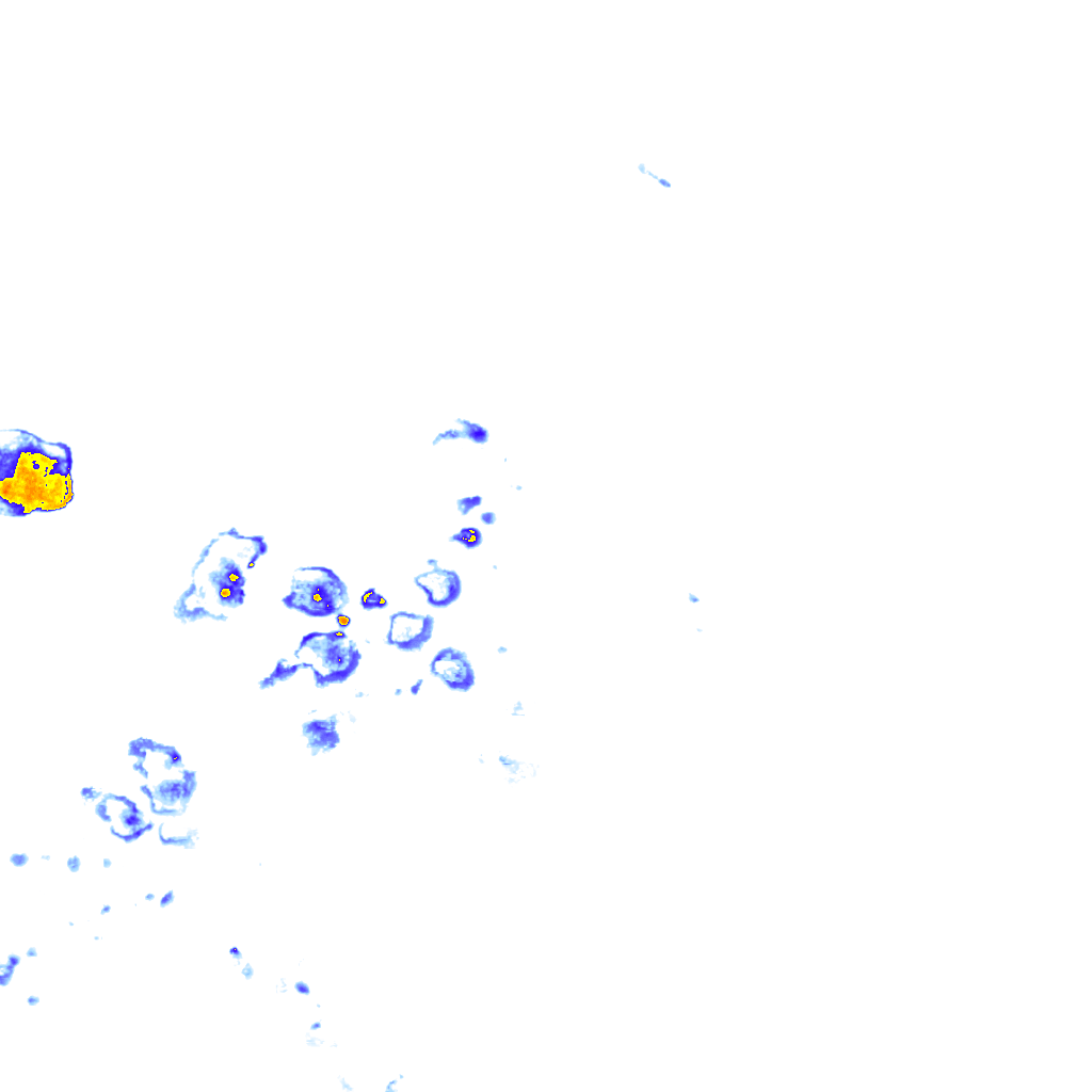 rainLayer