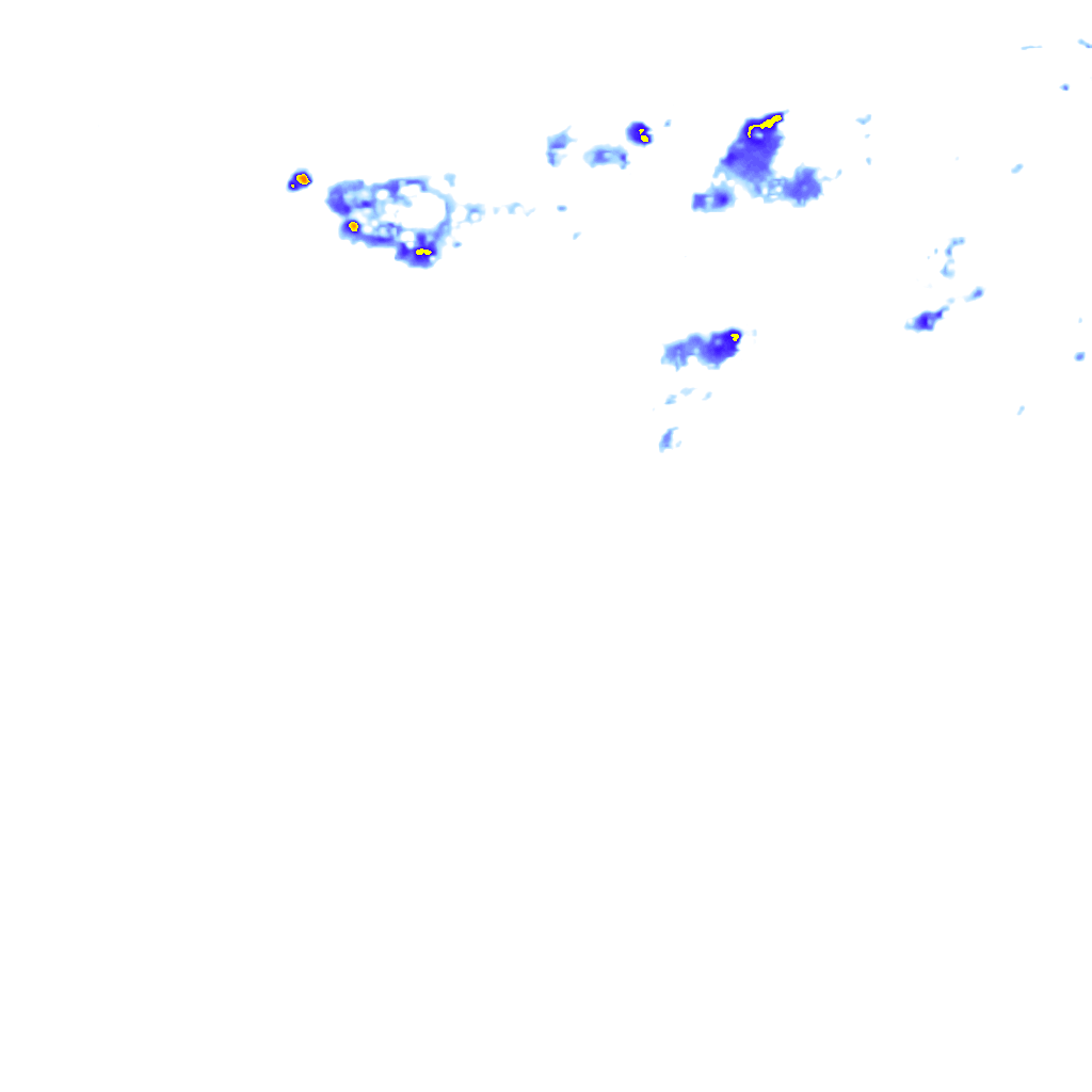 rainLayer