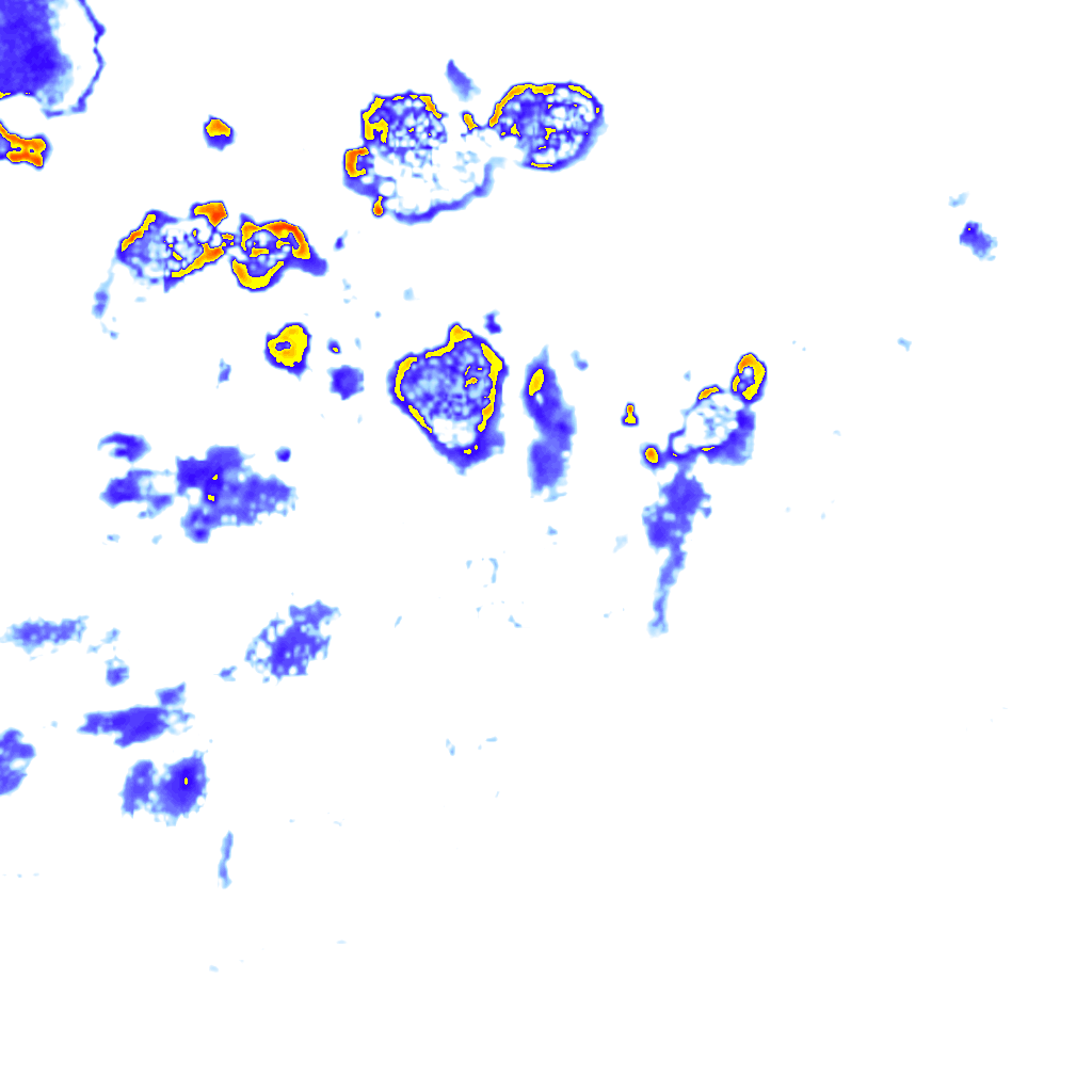 Image Layer