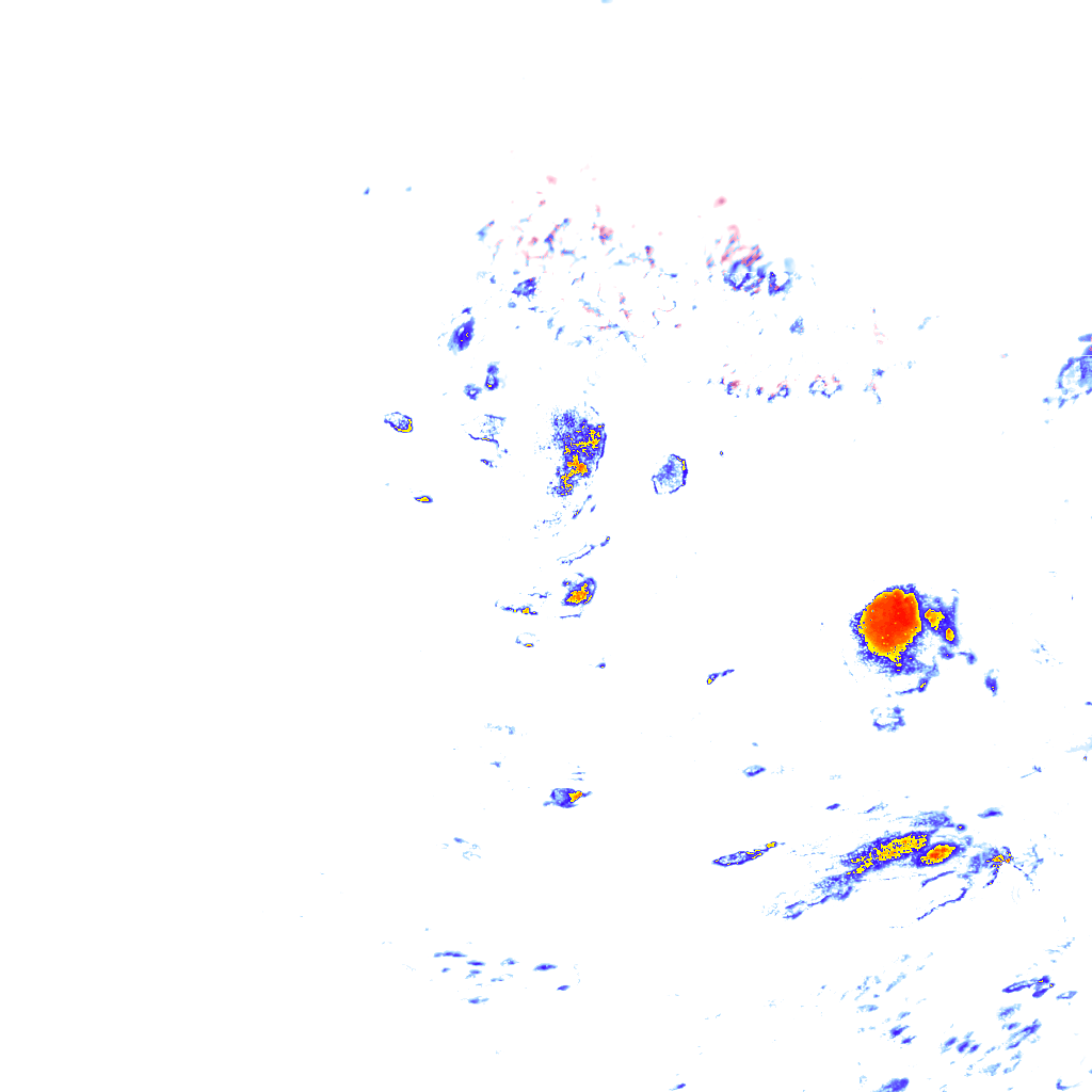 rainLayer