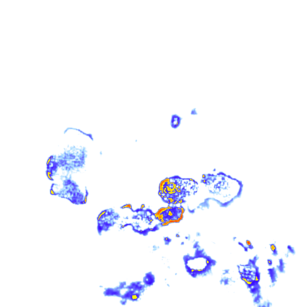 rainLayer